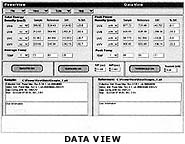 Data View